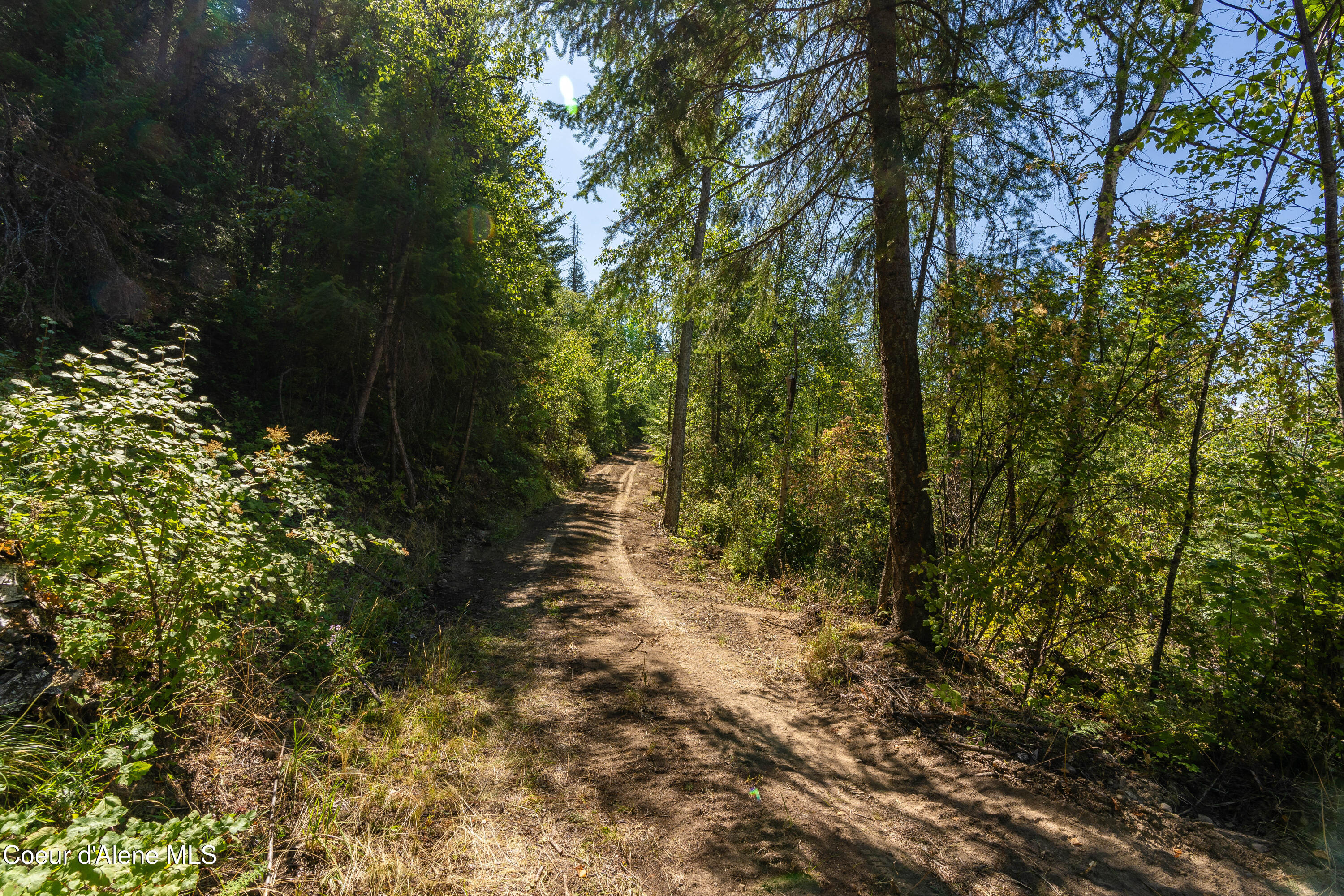 Nna Diamond Road Naples, ID 83847 - Photo 12 of 38 Feldmann Mountain Lot 1 Photos-10