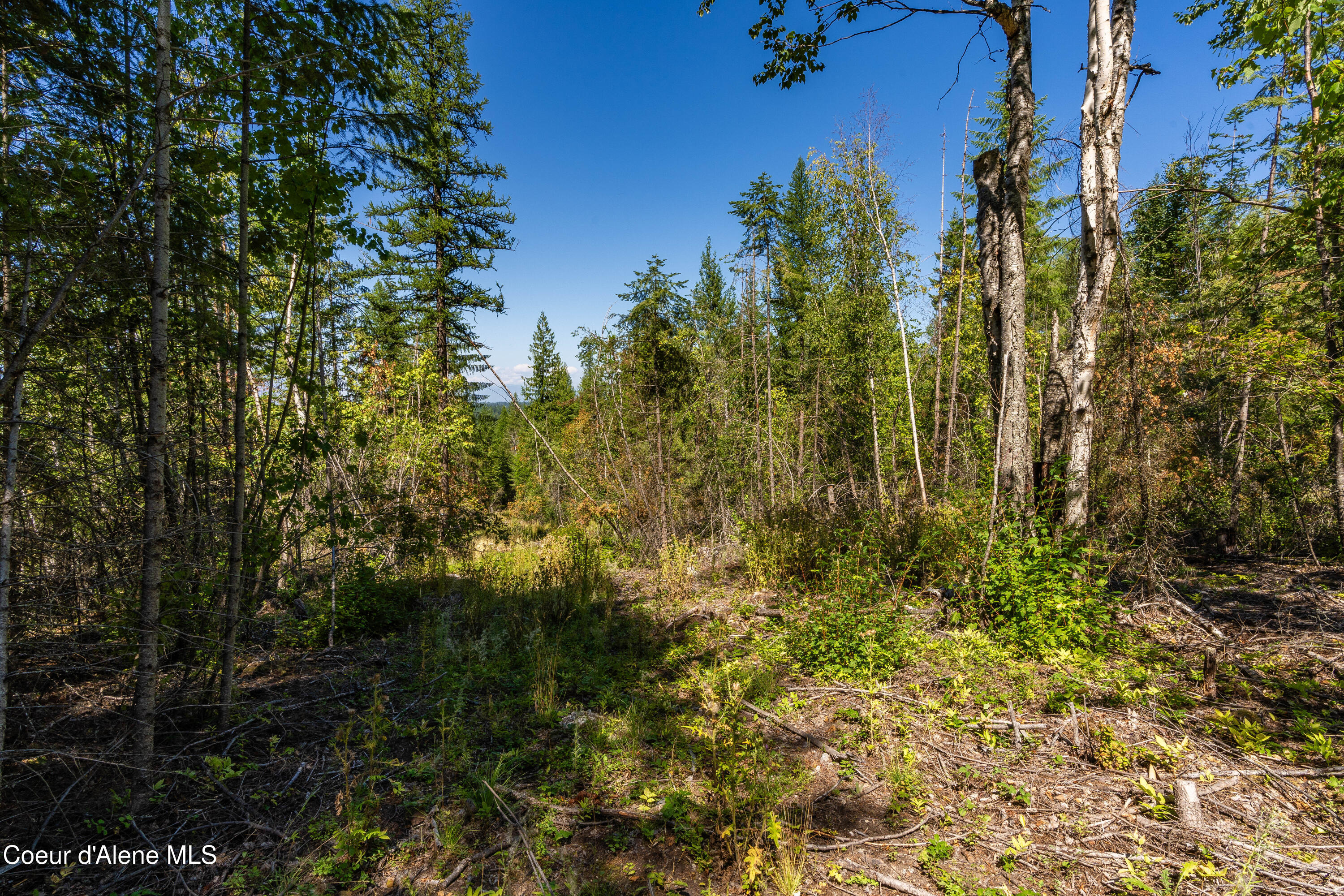 Nna Diamond Road Naples, ID 83847 - Photo 19 of 38 Feldmann Mountain Lot 1 Photos-14