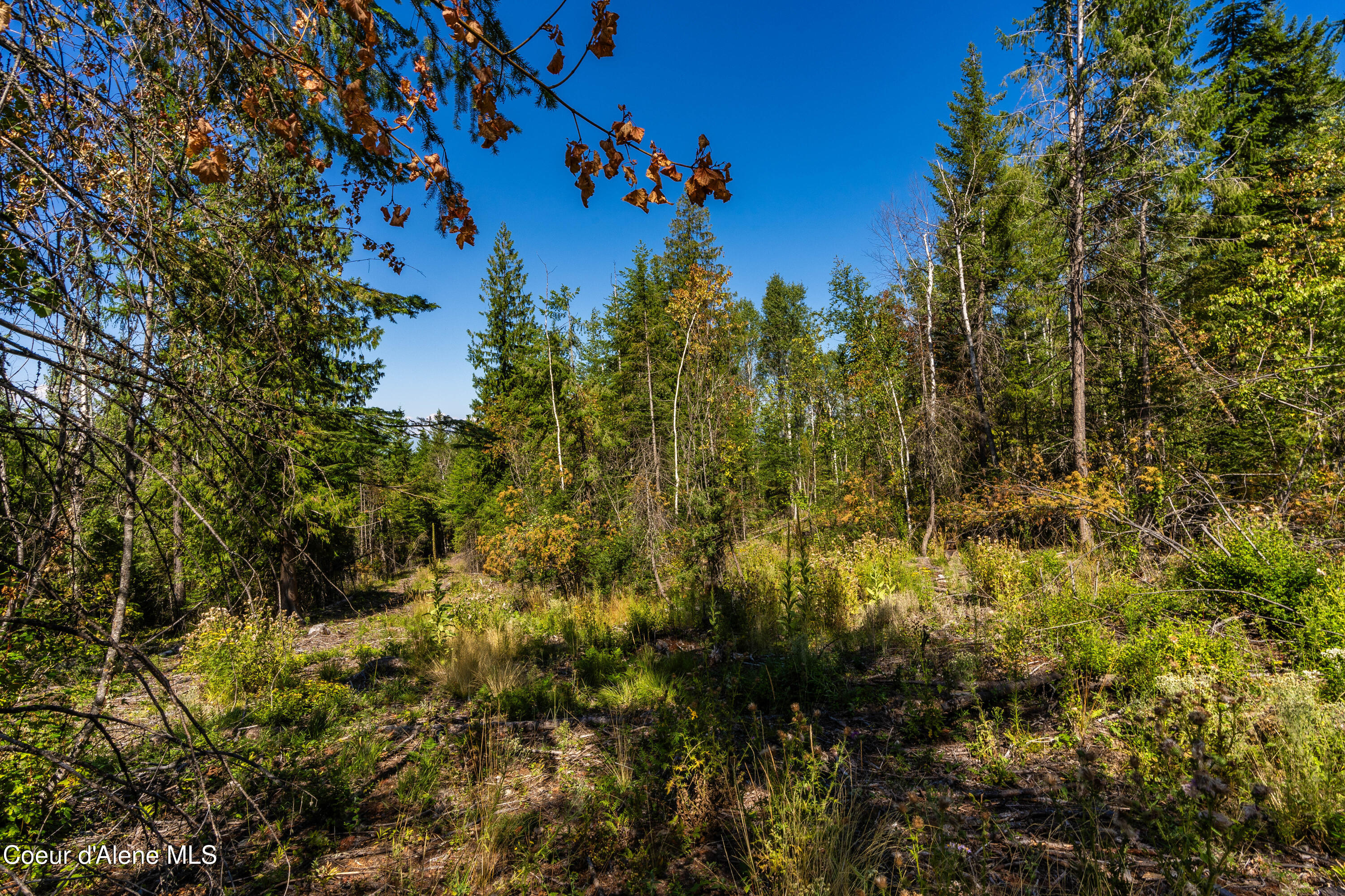 Nna Diamond Road Naples, ID 83847 - Photo 20 of 38 Feldmann Mountain Lot 1 Photos-15