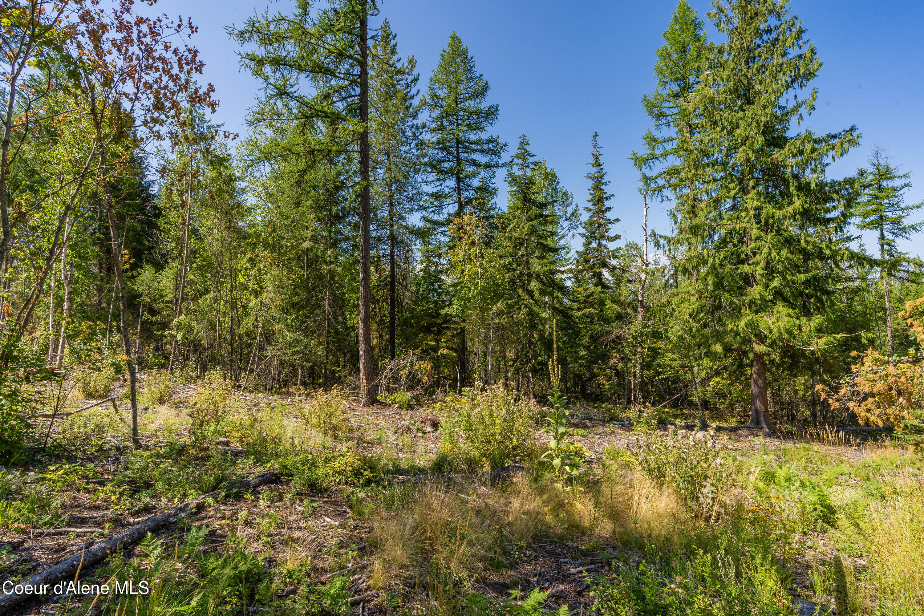 Nna Diamond Road Naples, ID 83847 - Photo 21 of 38 Feldmann Mountain Lot 1 Photos-16