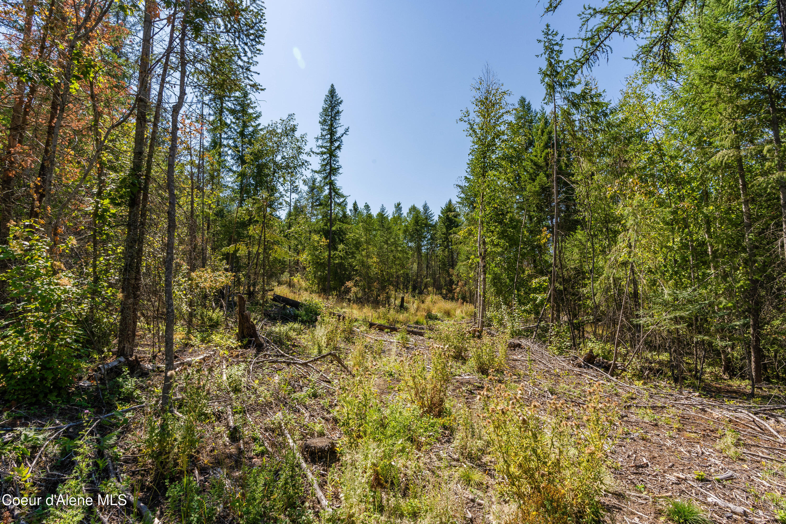Nna Diamond Road Naples, ID 83847 - Photo 22 of 38 Feldmann Mountain Lot 1 Photos-17