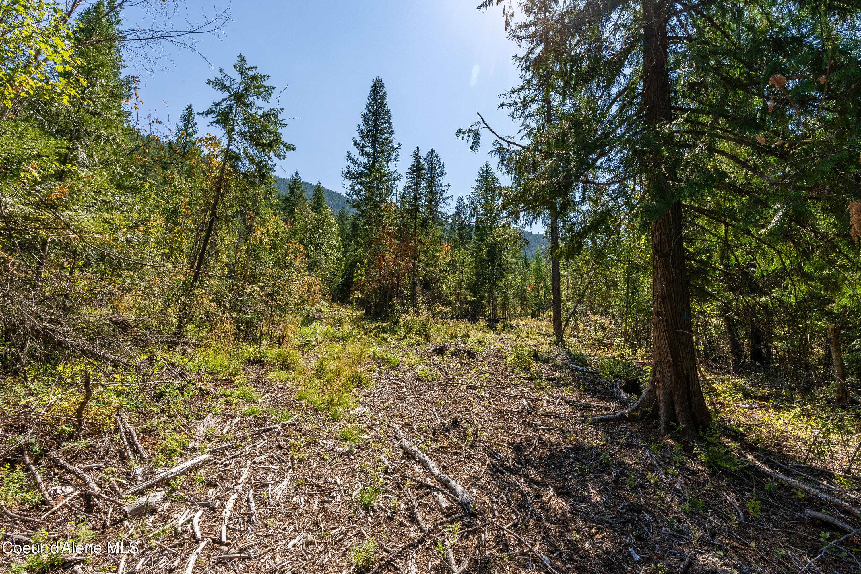 Nna Diamond Road Naples, ID 83847 - Photo 23 of 38 Feldmann Mountain Lot 1 Photos-18
