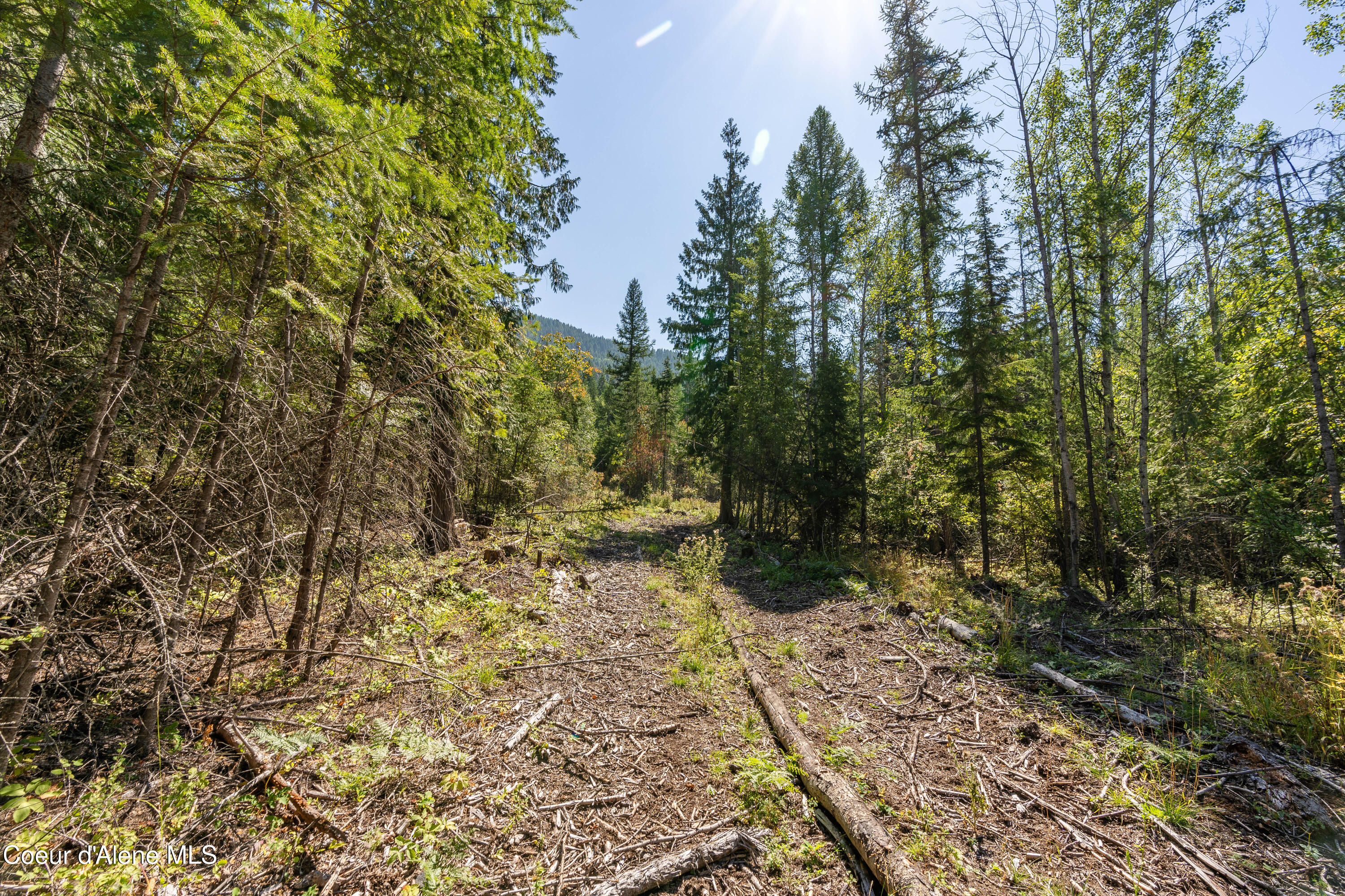 Nna Diamond Road Naples, ID 83847 - Photo 27 of 38 Feldmann Mountain Lot 1 Photos-22