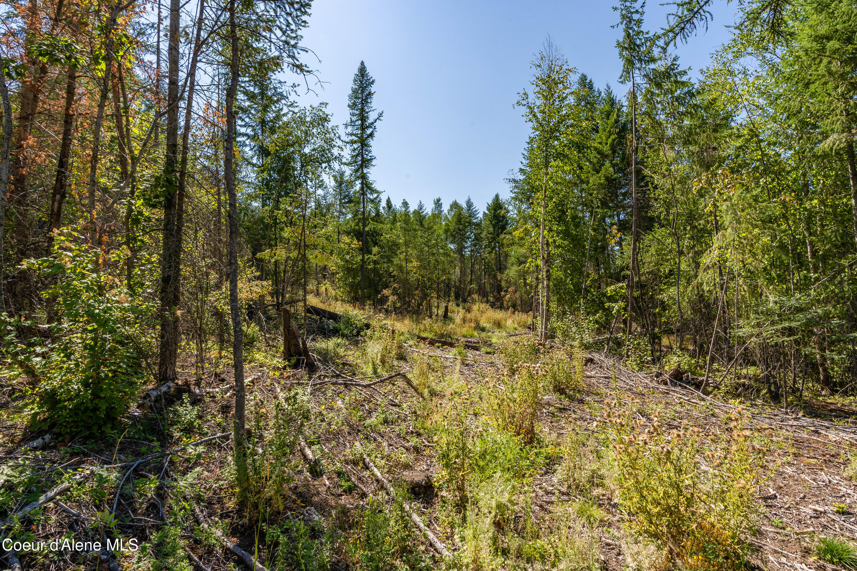 Nna Diamond Road Naples, ID 83847 - Photo 28 of 38 Feldmann Mountain Lot 1 Photos-23