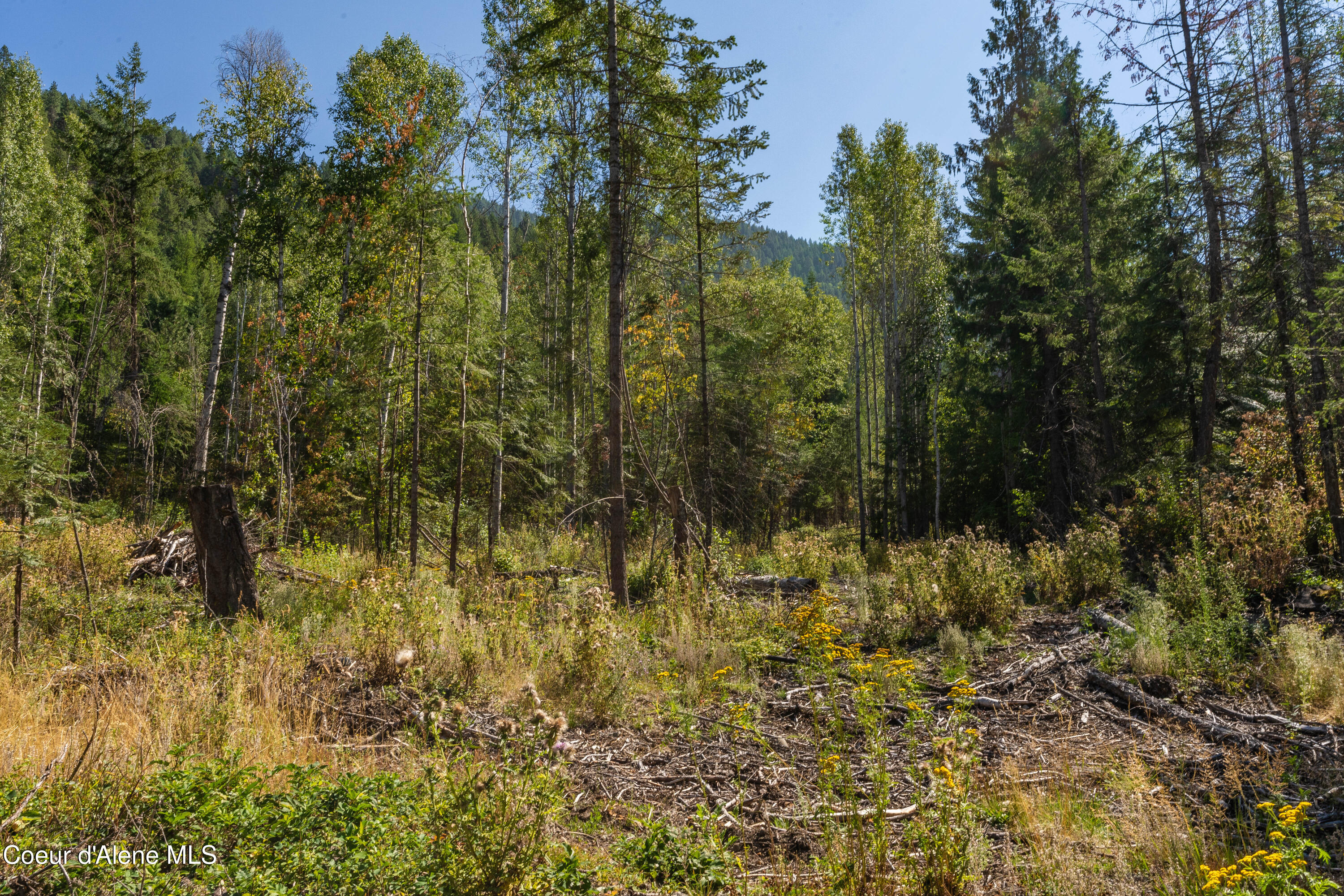 Nna Diamond Road Naples, ID 83847 - Photo 32 of 38 Feldmann Mountain Lot 1 Photos-27