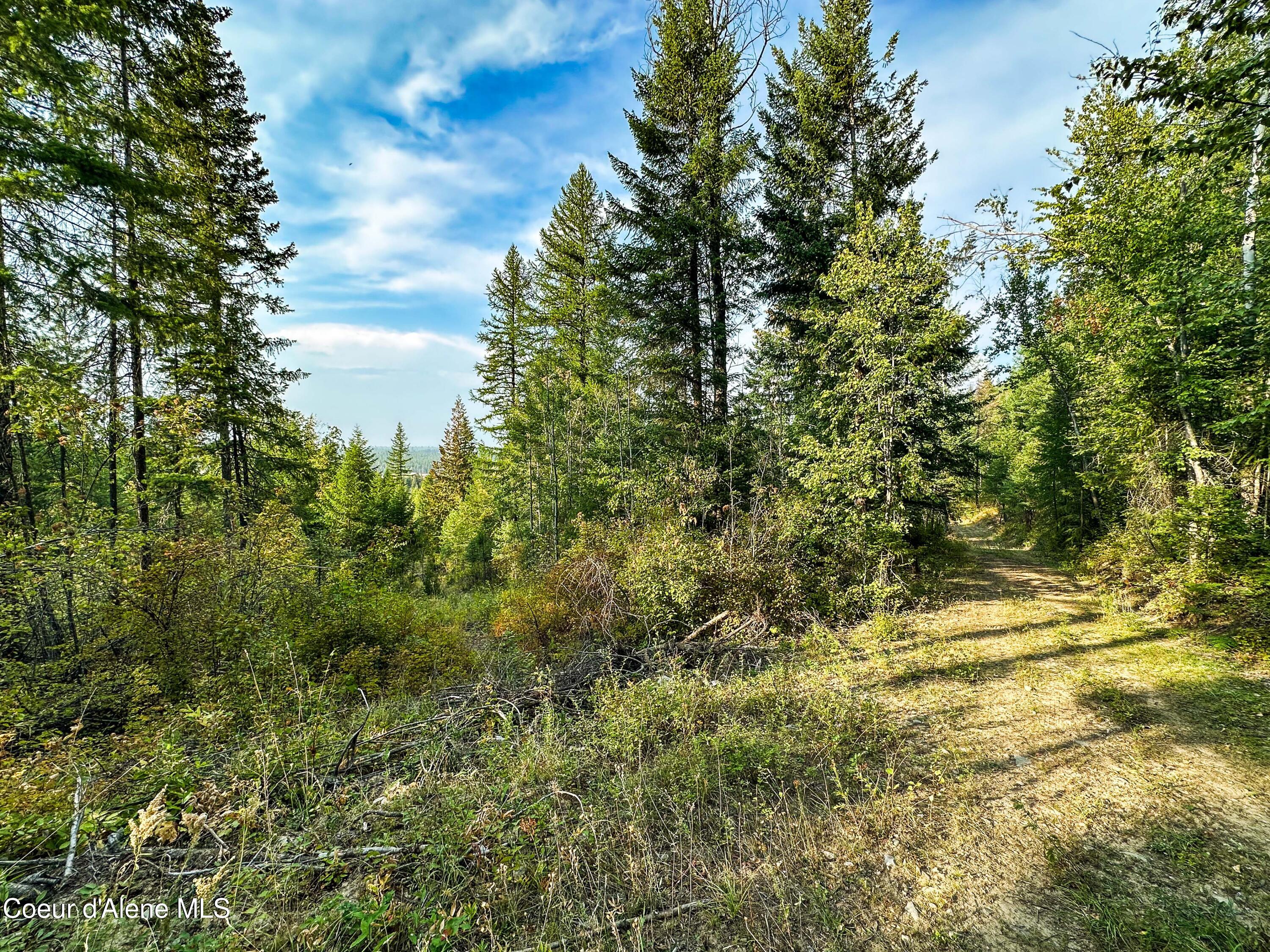 Nna Diamond Road Naples, ID 83847 - Photo 38 of 38 NNA Diamond Rd - Extra-5