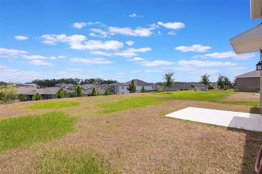 2932 Muller Oak Loop Ocoee, FL 34761 - Photo 29 of 32 a view of a house with a big yard