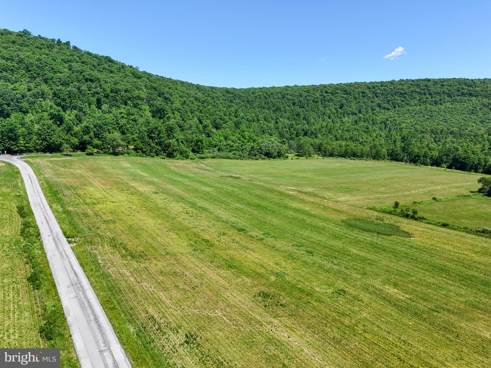 0 Steele Hollow Road Julian, PA 16844 - Photo 15 of 19