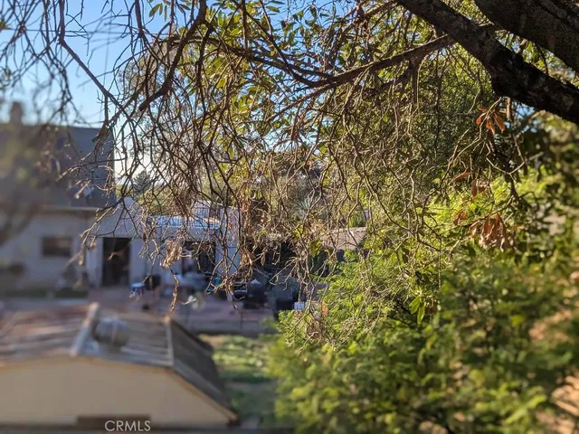 a view of yard with green space and trees