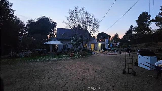a view of a tree in a park