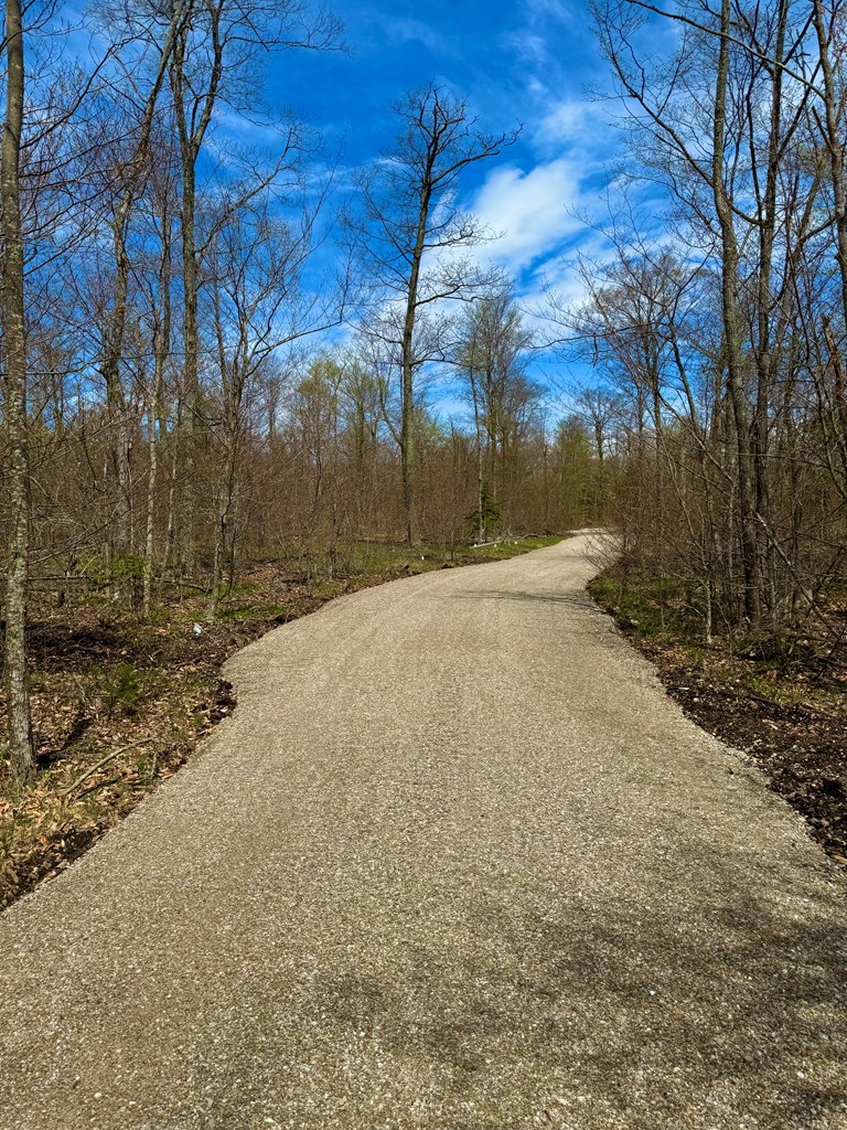 Tbd Lot1 Isle View Road Ellison Bay, WI 54210 - Photo 6 of 11