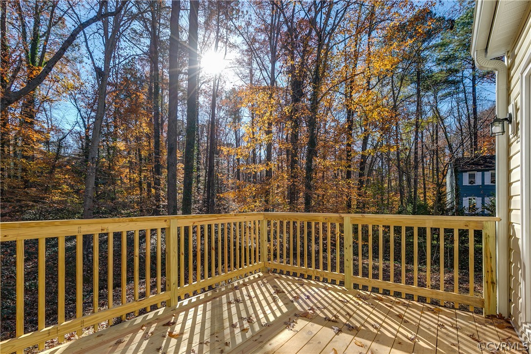 4907 Court Ridge Terrace Midlothian, VA 23112 - Photo 41 of 43 a view of a wooden roof deck