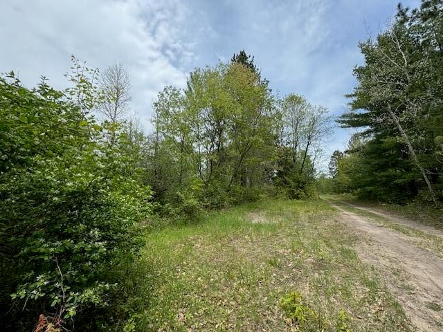 4728 Club Road Indian River, MI 49749 - Photo 12 of 12 Gallery Image 12