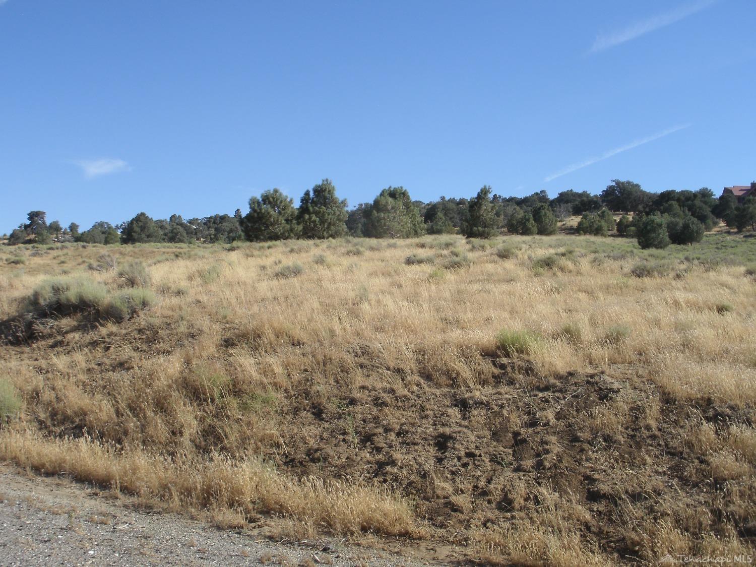 0 Tamblin Road Tehachapi, CA 93561 - Photo 1 of 7 Gallery Image 1