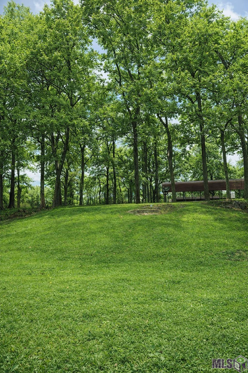 3797 Parhams Road Jonesville, LA 71343 - Photo 2 of 5