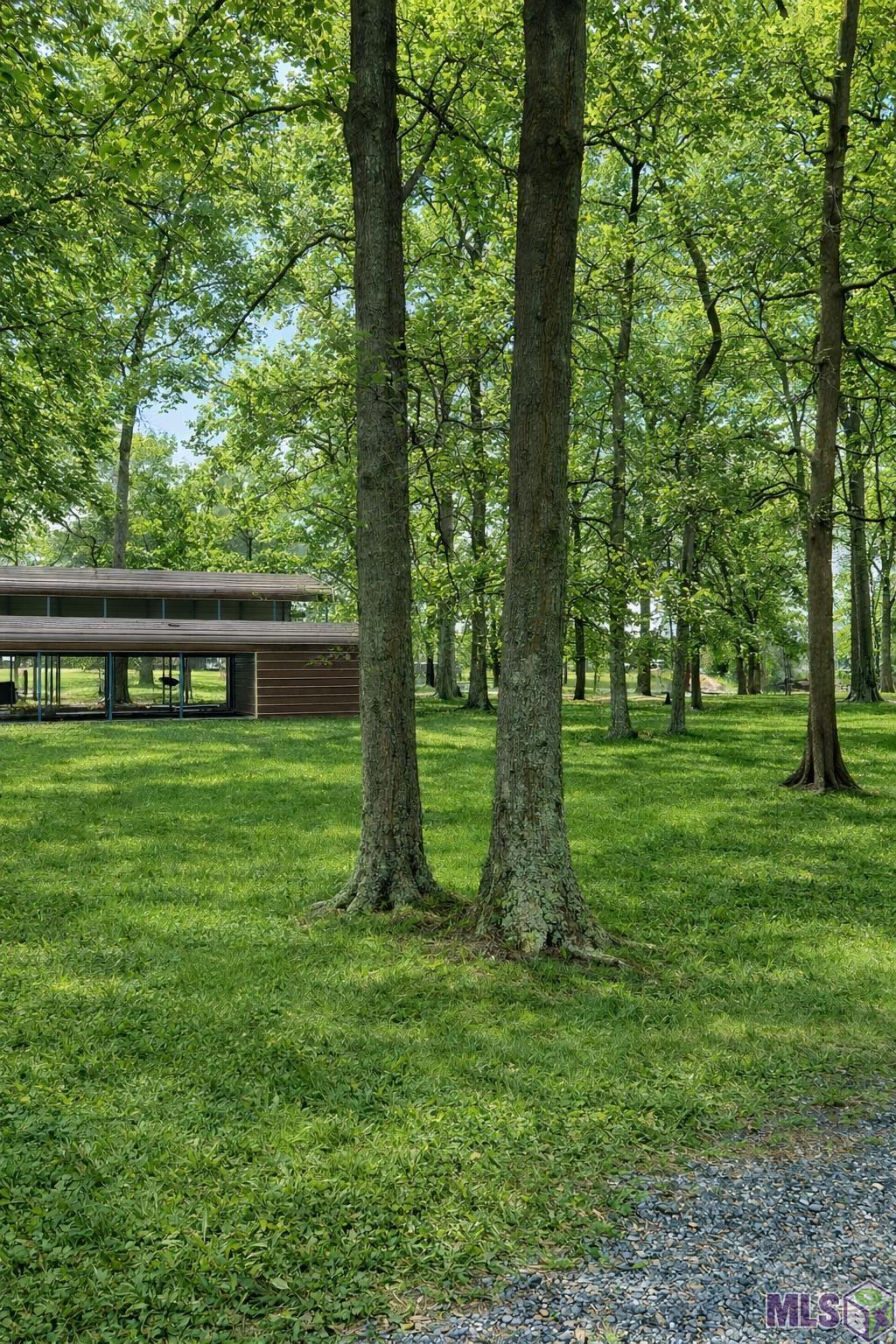 3797 Parhams Road Jonesville, LA 71343 - Photo 3 of 5