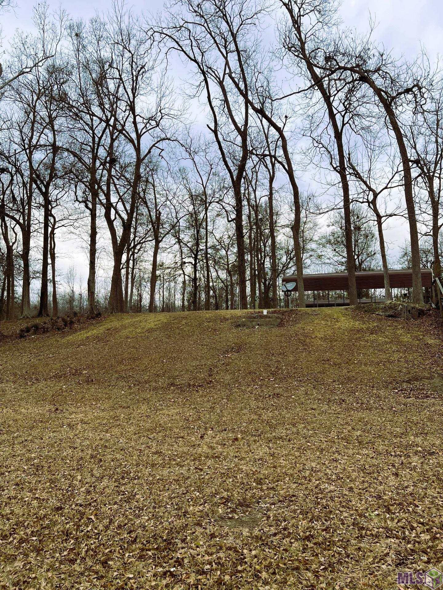 3797 Parhams Road Jonesville, LA 71343 - Photo 5 of 5