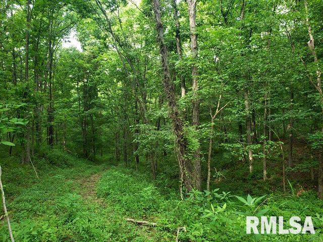 0 East Divide Road Texico, IL 62889 - Photo 1 of 29