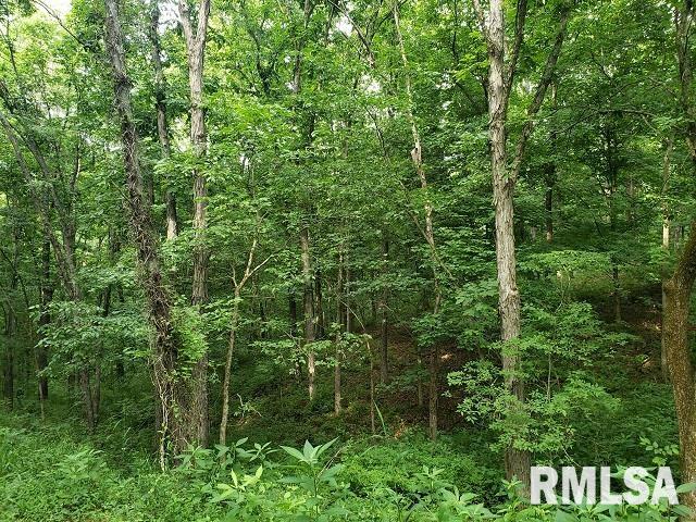 0 East Divide Road Texico, IL 62889 - Photo 12 of 29