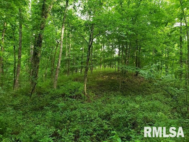 0 East Divide Road Texico, IL 62889 - Photo 15 of 29