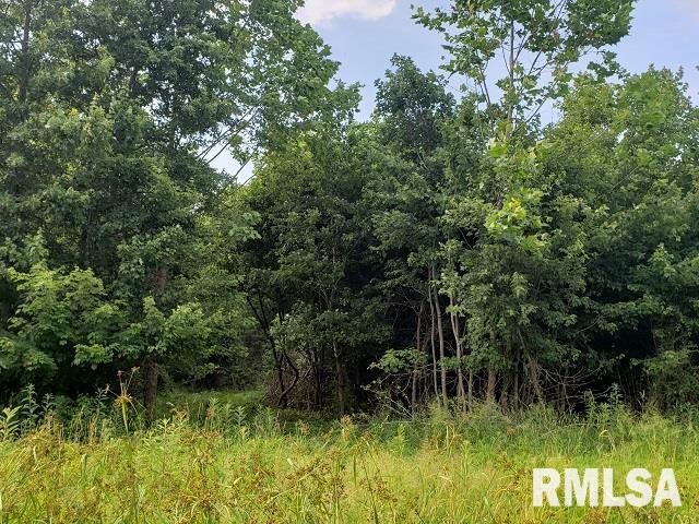 0 East Divide Road Texico, IL 62889 - Photo 28 of 29