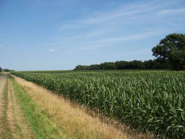 470 Hondo Road Vermont, IL 61484 - Photo 1 of 9