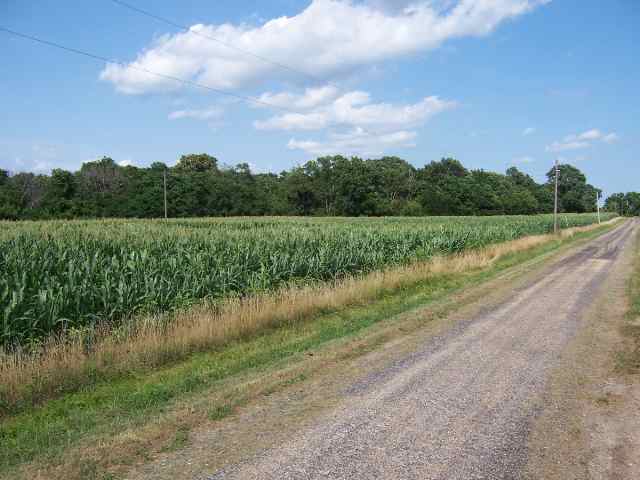 470 Hondo Road Vermont, IL 61484 - Photo 4 of 9