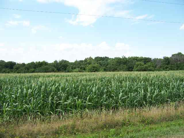 470 Hondo Road Vermont, IL 61484 - Photo 5 of 9