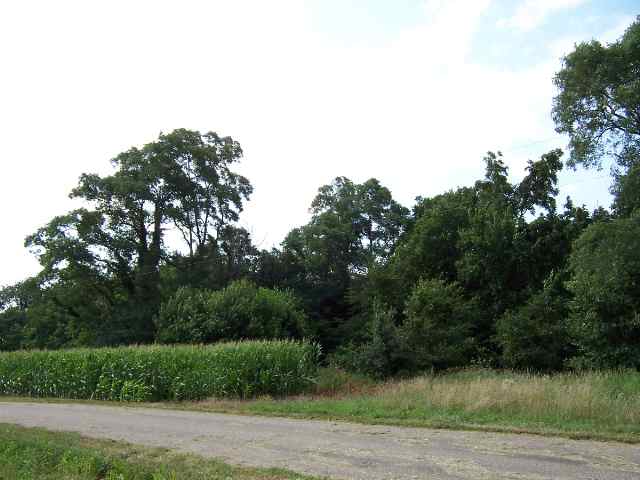 470 Hondo Road Vermont, IL 61484 - Photo 6 of 9