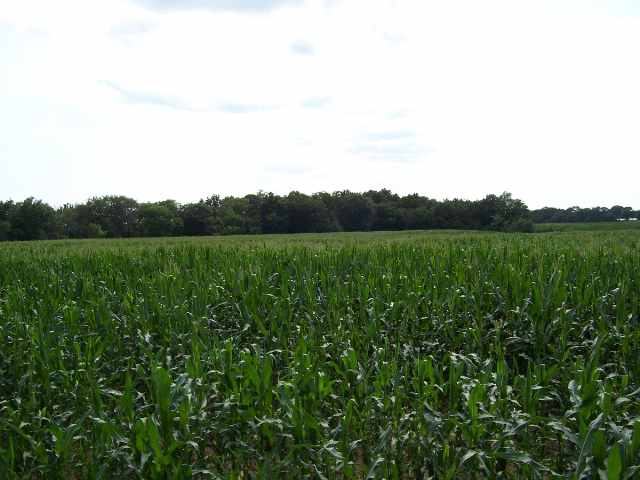470 Hondo Road Vermont, IL 61484 - Photo 7 of 9