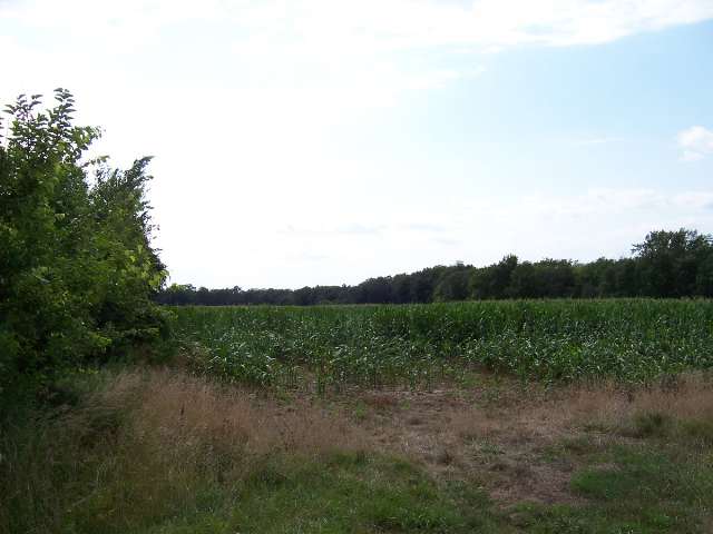 470 Hondo Road Vermont, IL 61484 - Photo 8 of 9
