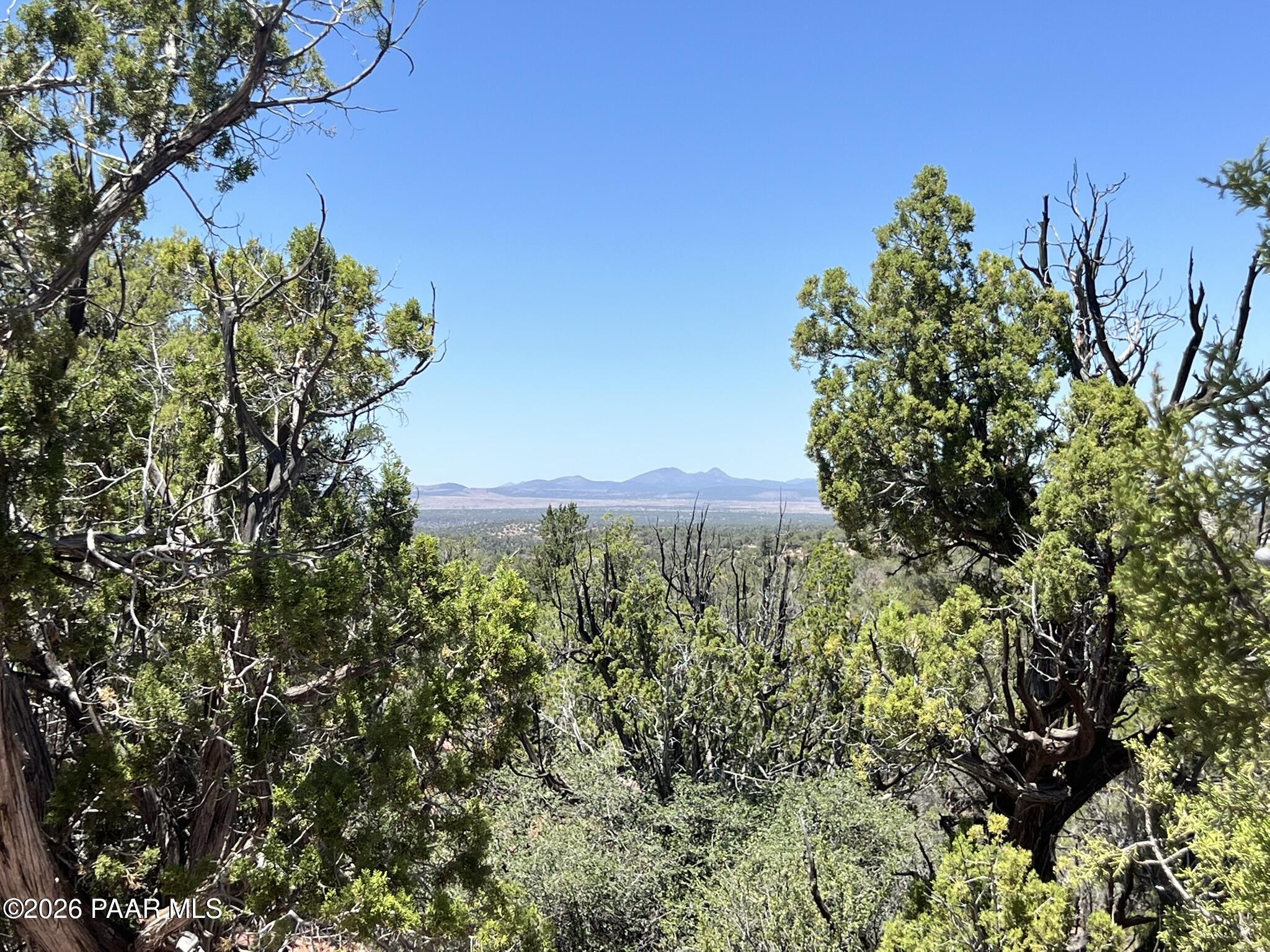 201 Cathedral Valley Road Ash Fork, AZ 86320 - Photo 6 of 9 IMG_0097