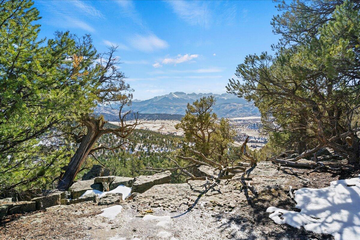 10b County Road 10B Ridgway, CO 81432 - Photo 11 of 13 a view of a tree with a park