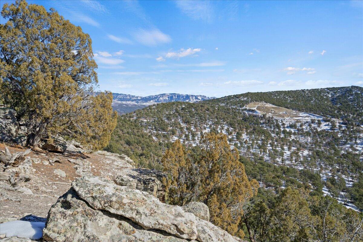 10b County Road 10B Ridgway, CO 81432 - Photo 12 of 13 a view of a lake with mountains in the background