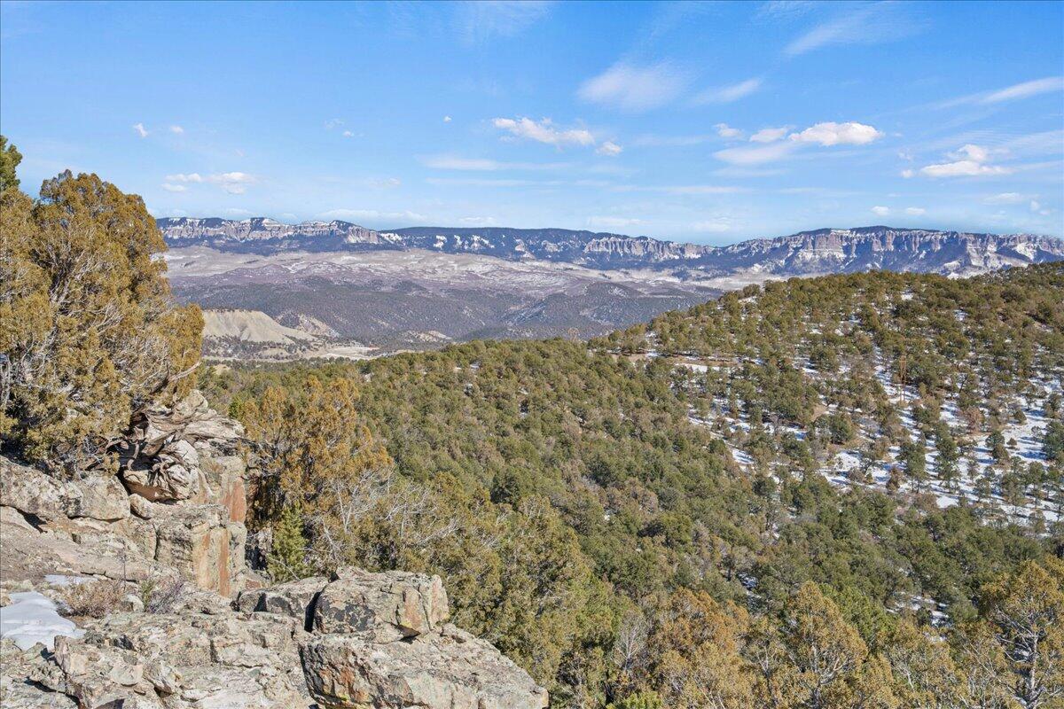 10b County Road 10B Ridgway, CO 81432 - Photo 13 of 13 a view of lake and mountain
