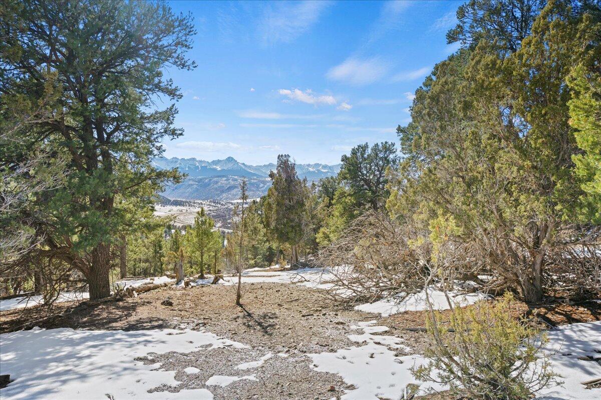 10b County Road 10B Ridgway, CO 81432 - Photo 4 of 13 a view of a yard with a tree