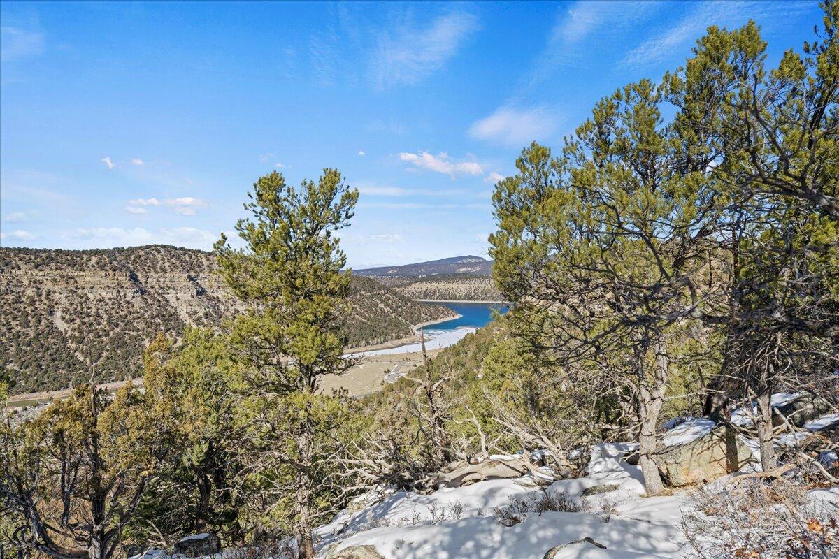 10b County Road 10B Ridgway, CO 81432 - Photo 5 of 13 a view of a yard