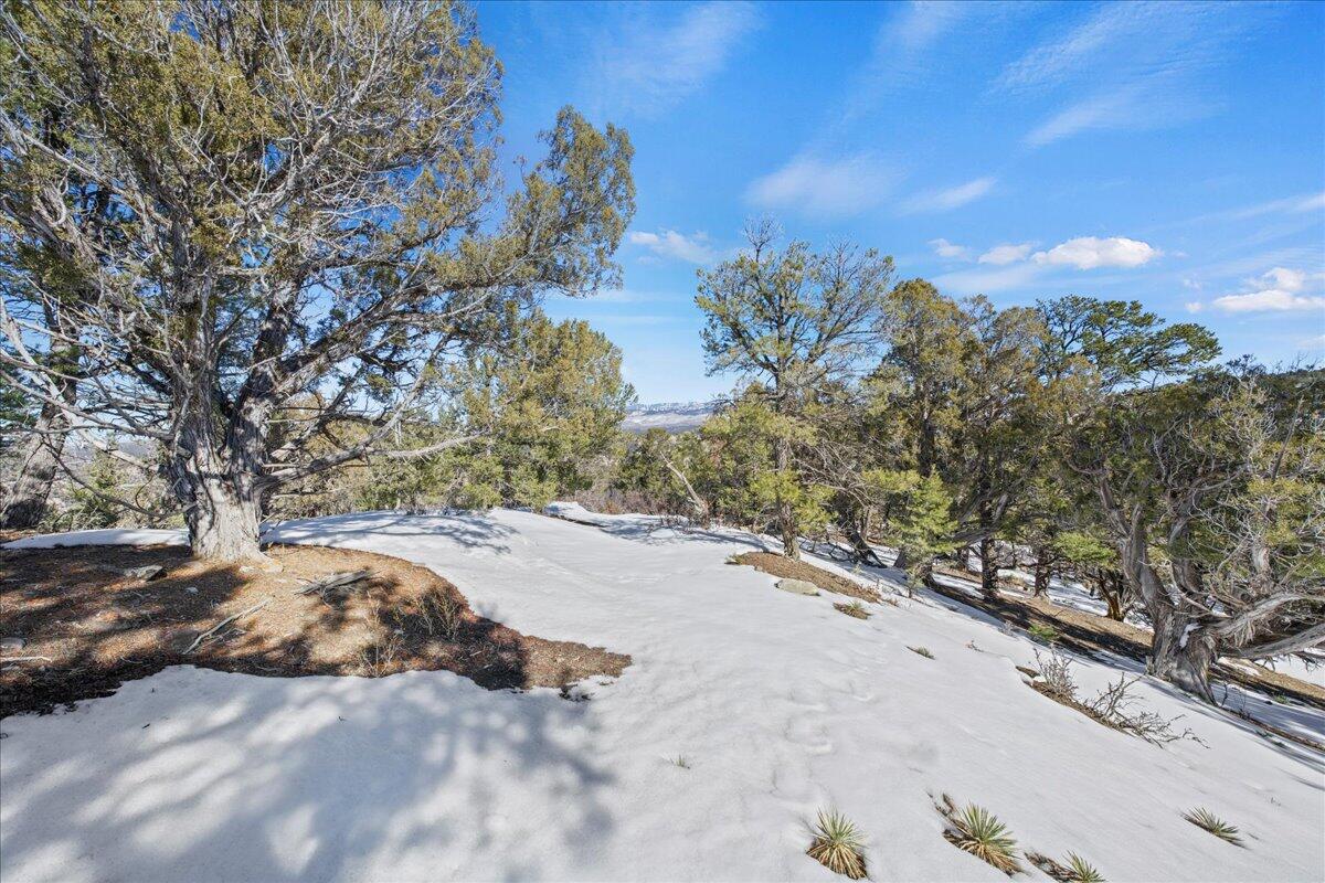 10b County Road 10B Ridgway, CO 81432 - Photo 10 of 13 a view of dirt road with a building in the background