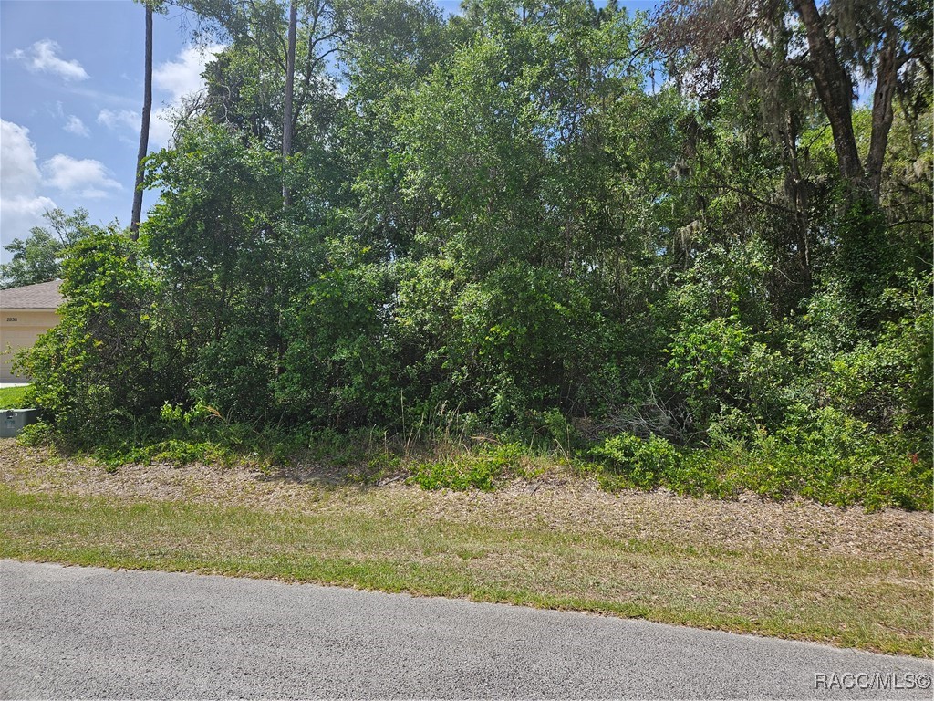 2828 East Chartwell Circle Hernando, FL 34442 - Photo 5 of 17