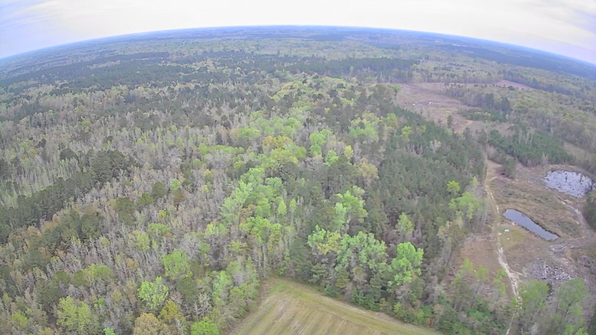 7753 Augusta Highway Smoaks, SC 29481 - Photo 3 of 3 HWY 61 (1)