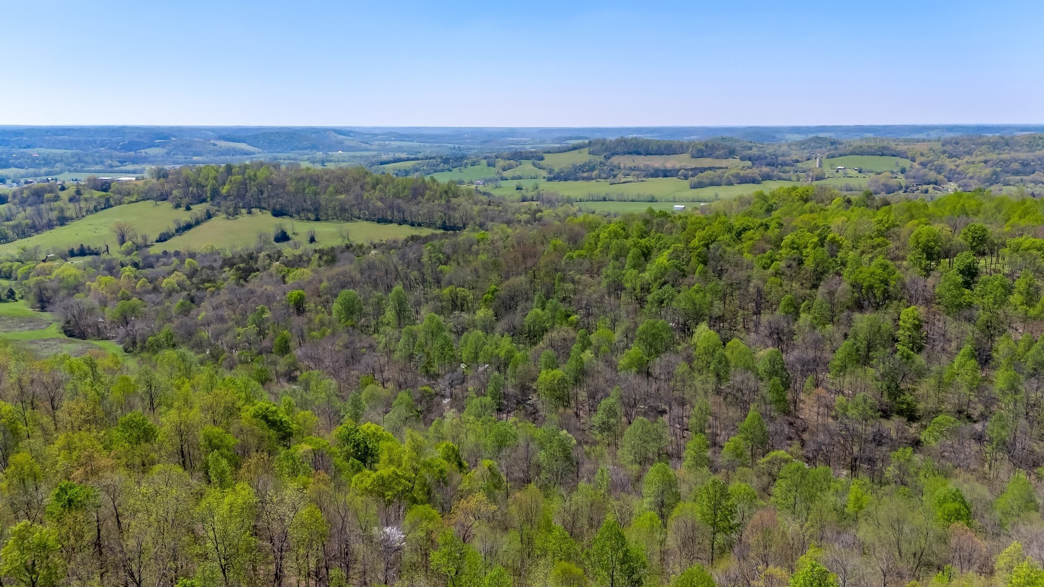 3199 McKnight Road Lewisburg, TN 37091 - Photo 12 of 15 a view of a lush green forest with lush green forest