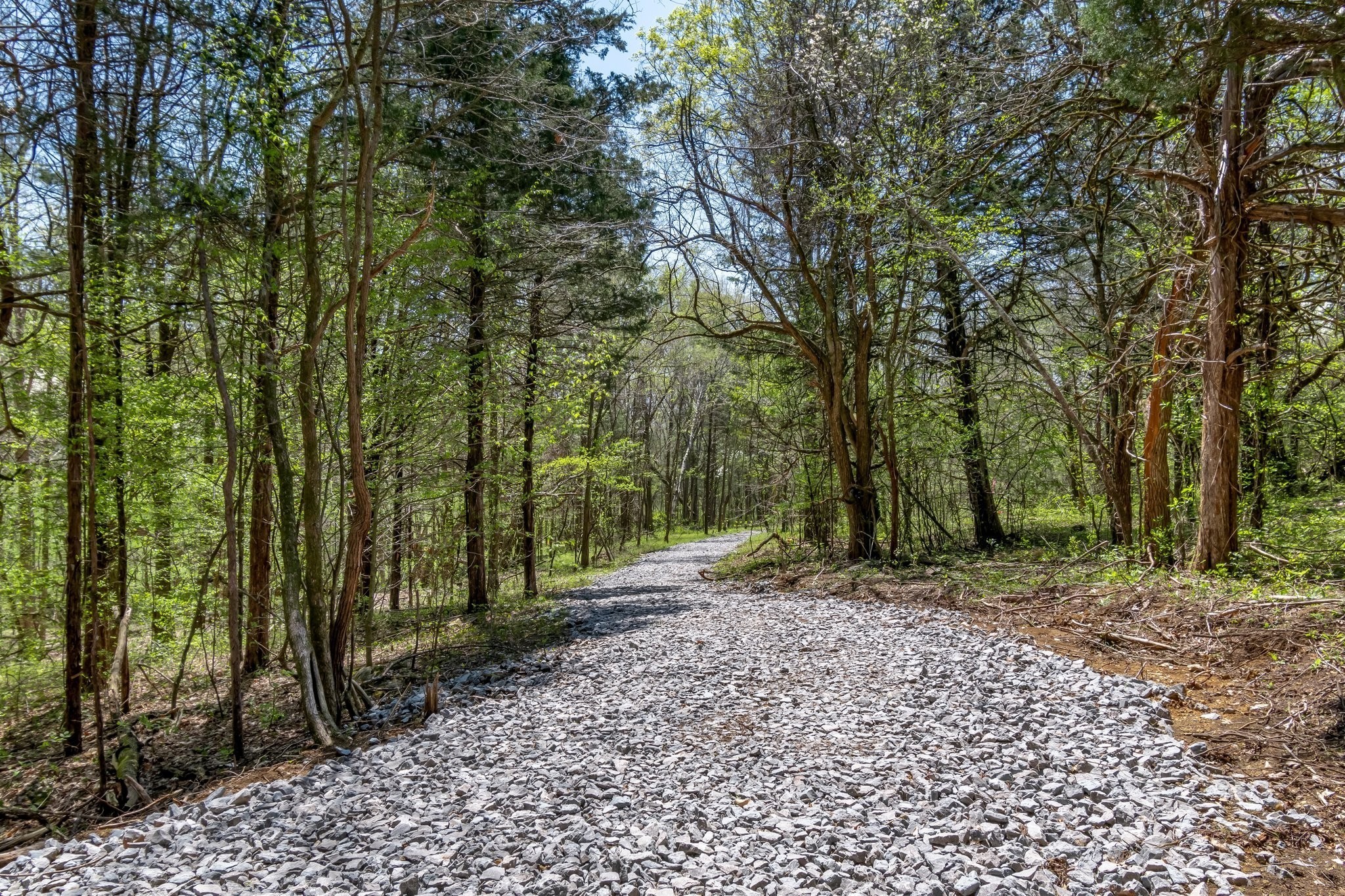 3199 McKnight Road Lewisburg, TN 37091 - Photo 15 of 15 a backyard of a house with lots of green space