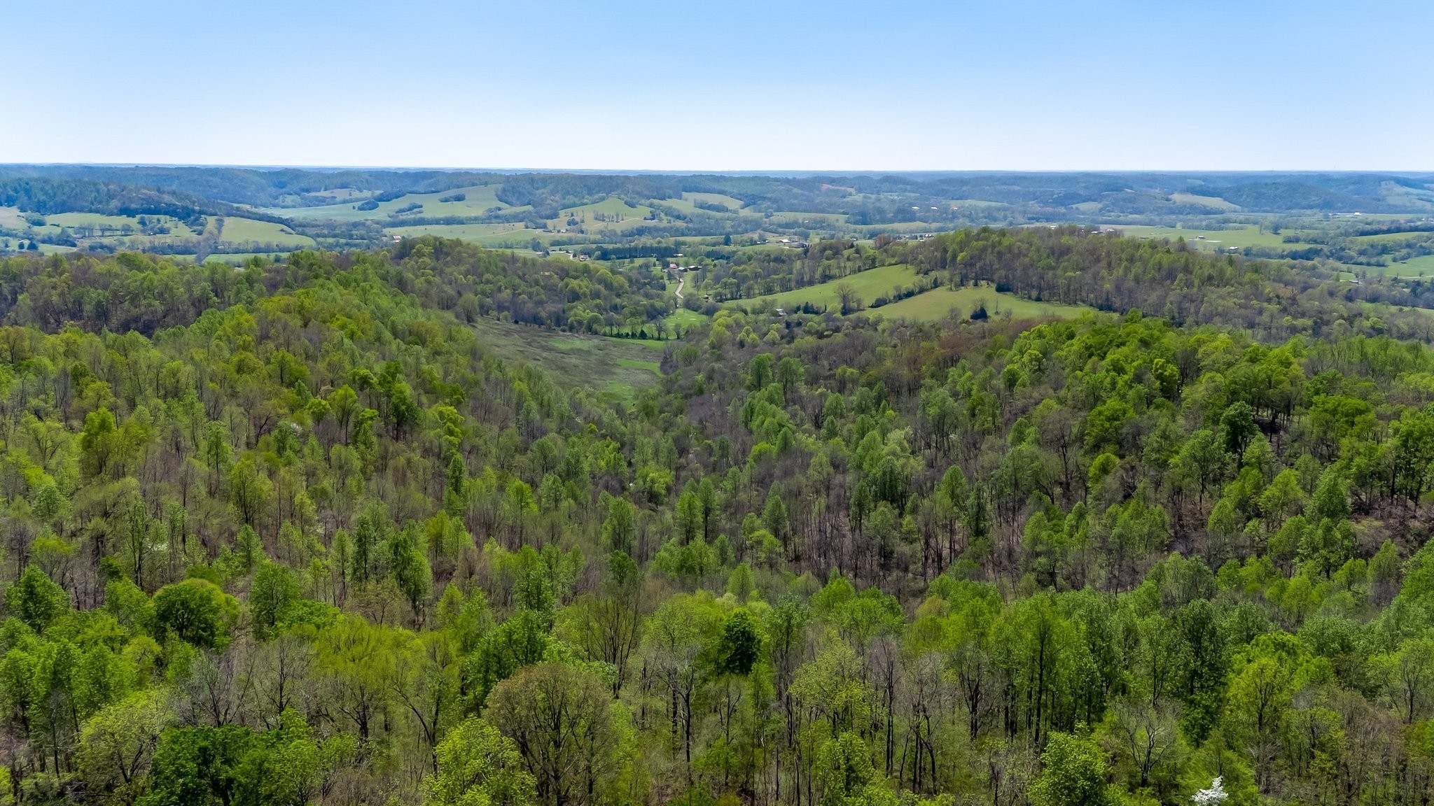 3199 McKnight Road Lewisburg, TN 37091 - Photo 3 of 15 a view of a lush green forest with trees in the background