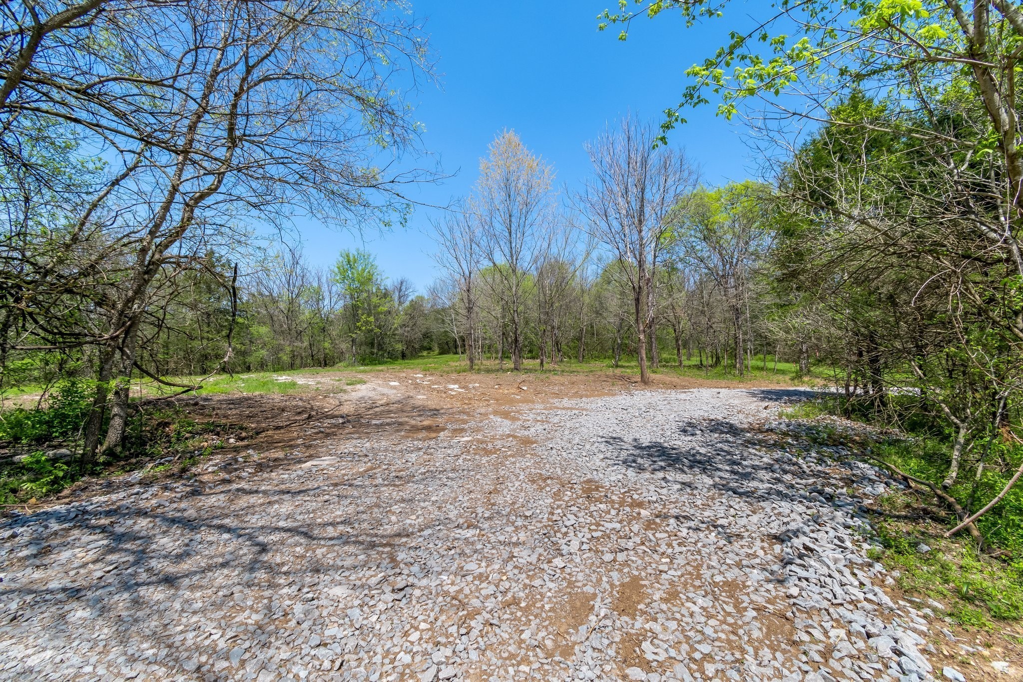 3199 McKnight Road Lewisburg, TN 37091 - Photo 4 of 15 a view of a yard