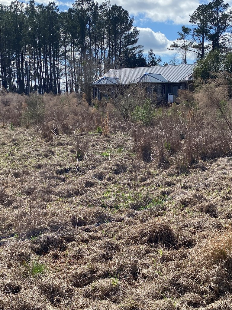 1035 Williams Road Barney, GA 31625 - Photo 17 of 21 Gallery Image 17