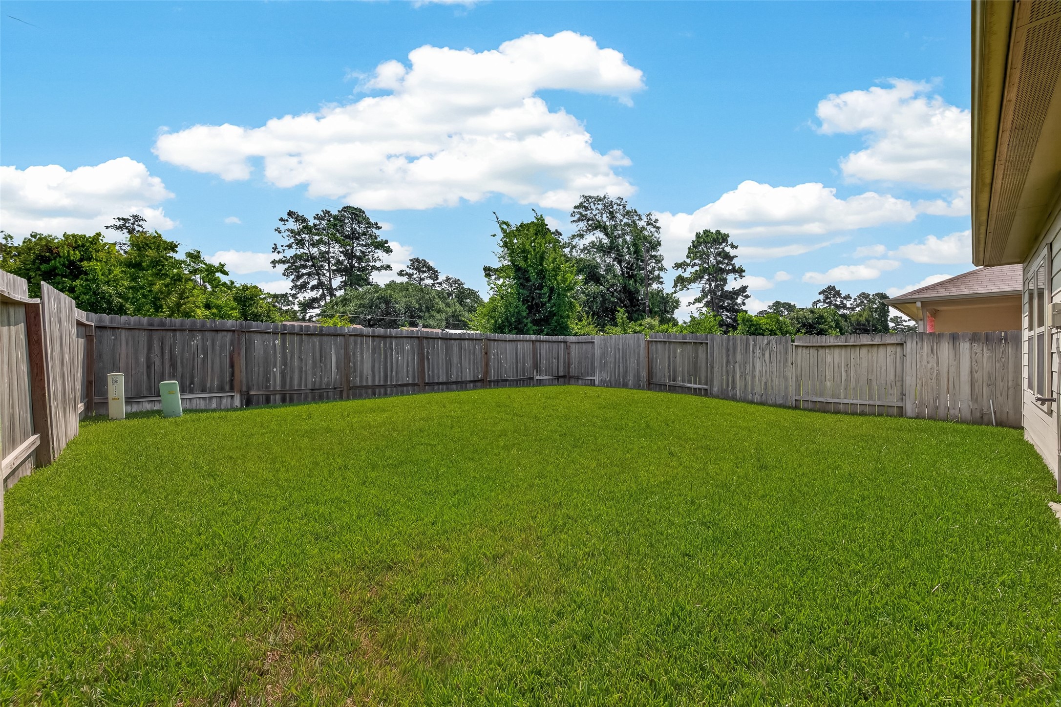 22446 Forest Gorge Lane Spring, TX 77373 - Photo 35 of 40