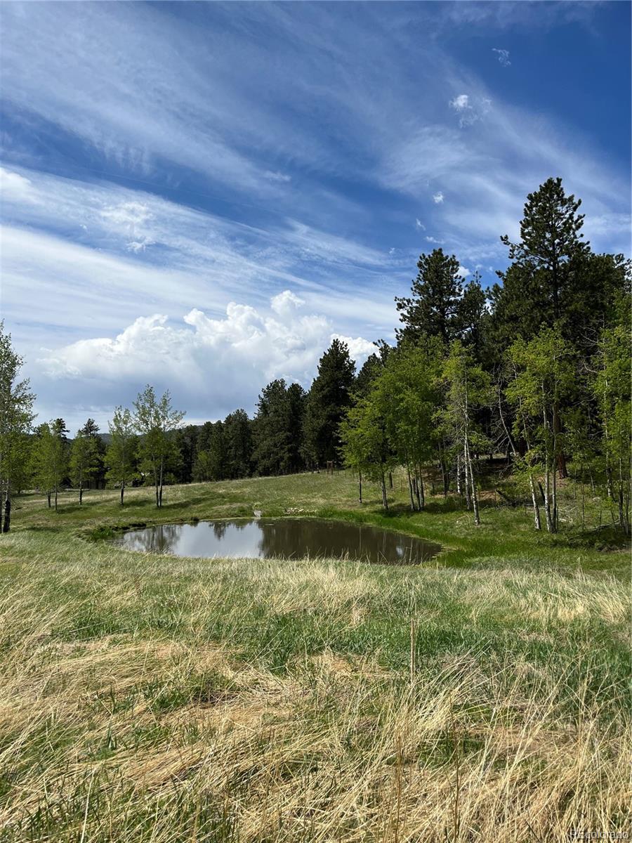 23295 Oehlmann Park Road Conifer, CO 80433 - Photo 3 of 40 Gallery Image 3