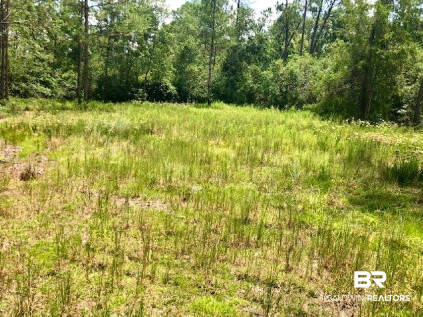 24263 A Woerner Road Elberta, AL 36530 - Photo 38 of 38