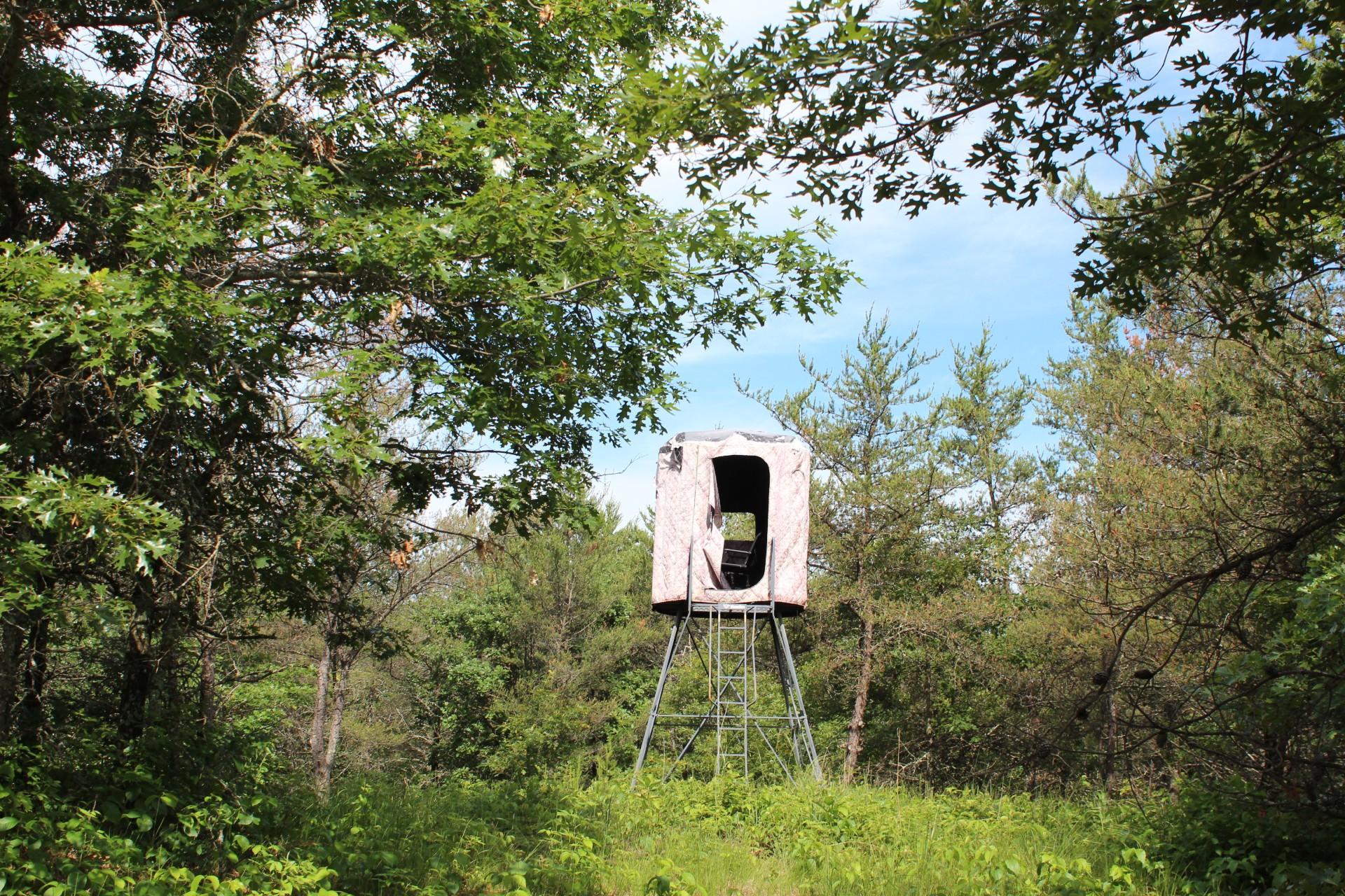 Xxx Anderson Road Grantsburg, WI 54840 - Photo 11 of 27