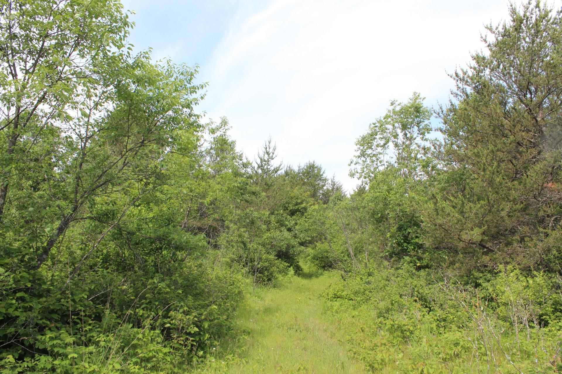 Xxx Anderson Road Grantsburg, WI 54840 - Photo 13 of 27